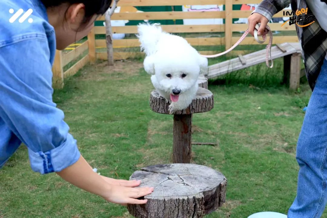 遛,遛弯