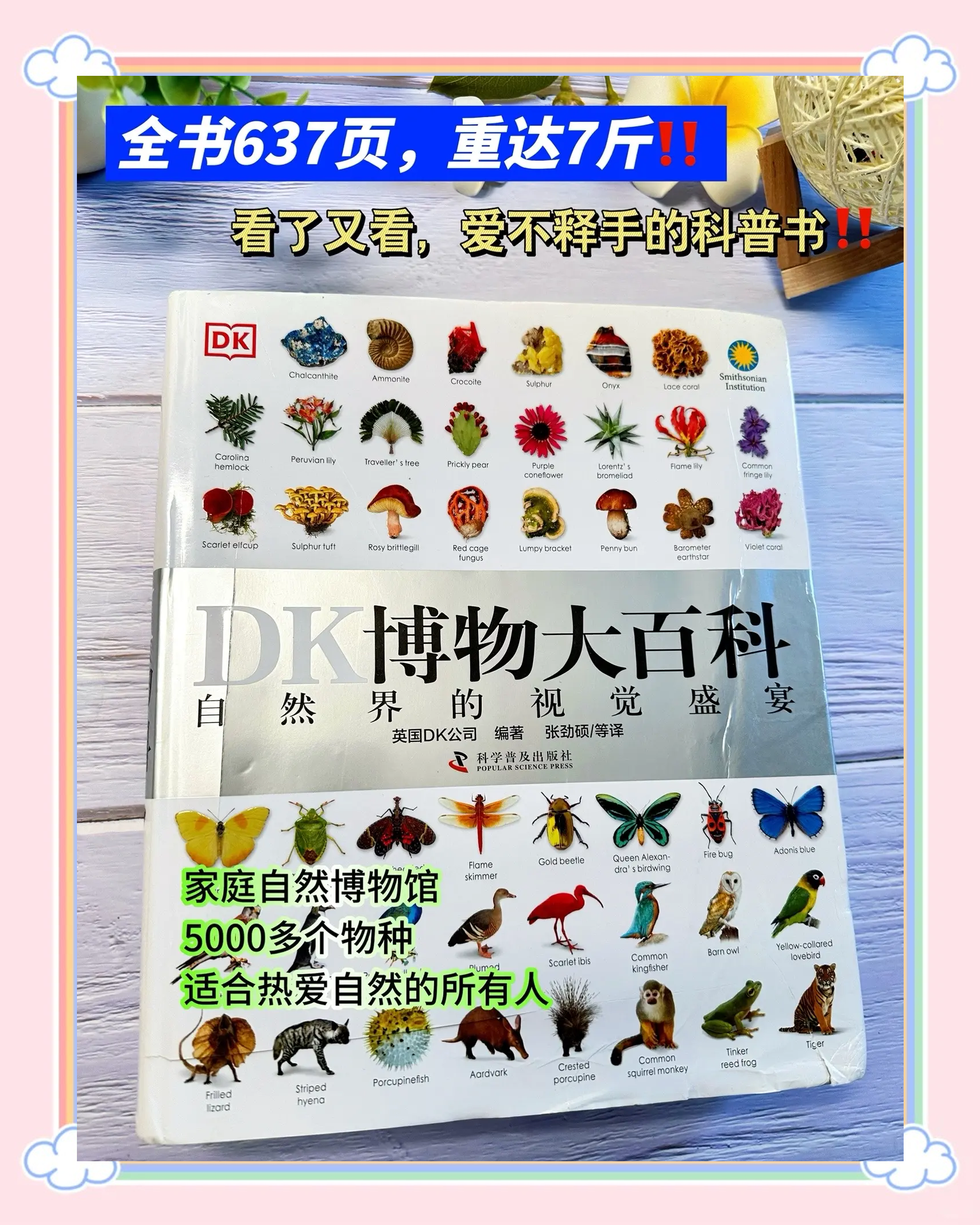 百科全书app哪个最好,百科知识大全免费下载