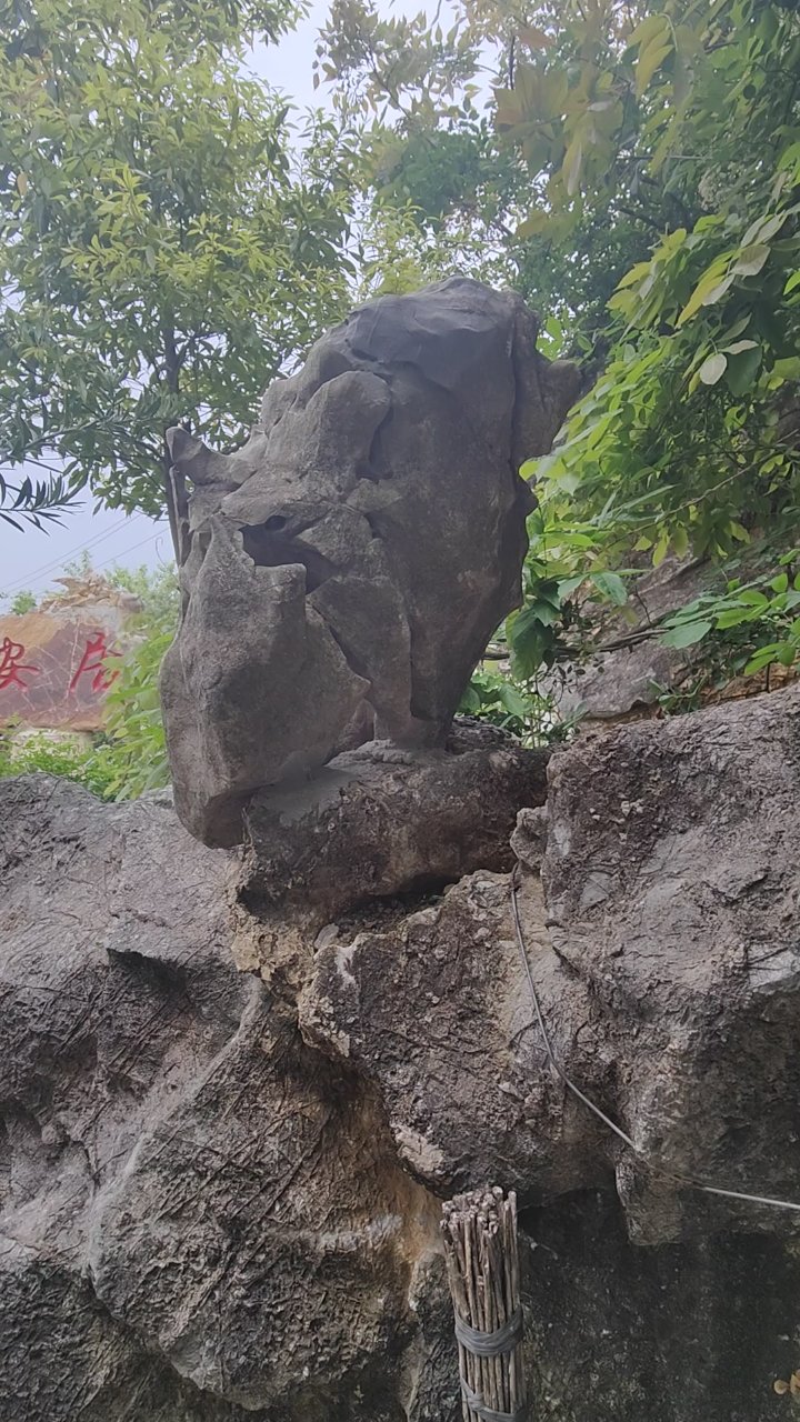 春晖,春晖电视剧