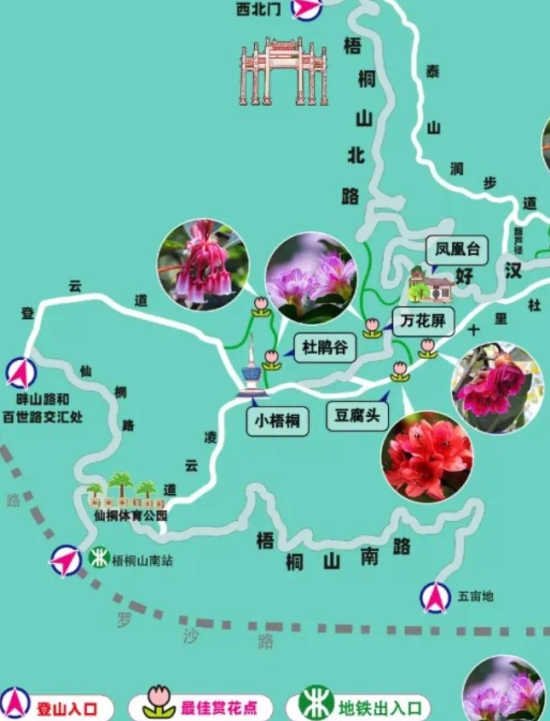 梧桐山旅游攻略,梧桐山旅游攻略超详细