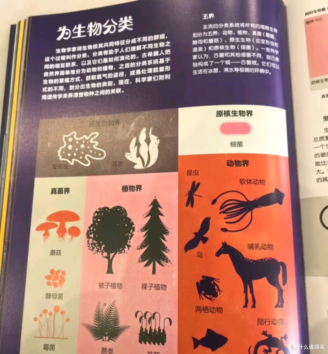 百科全书内容是什么,百科全书大致内容