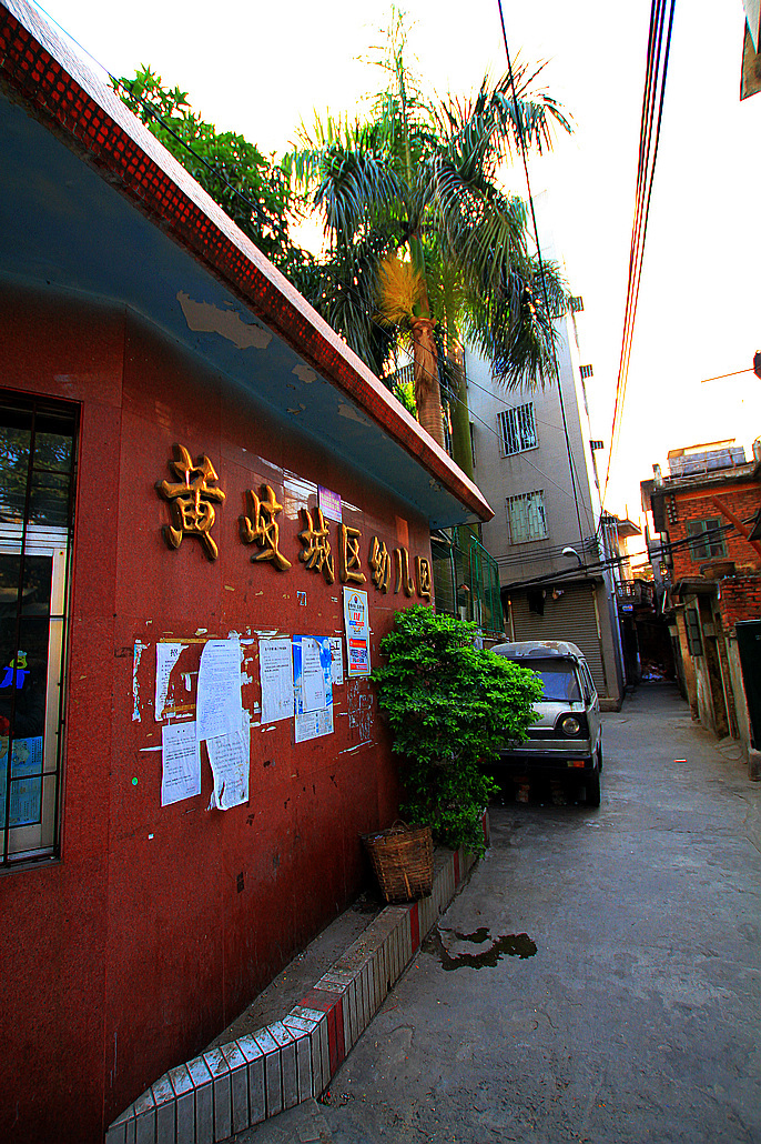 黄岐,黄岐中药长什么样