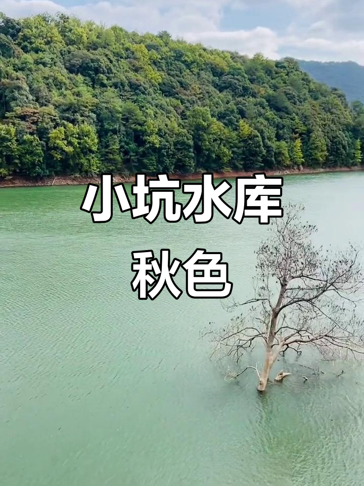 韶关小坑国家森林公园,韶关国家森林公园主要景点