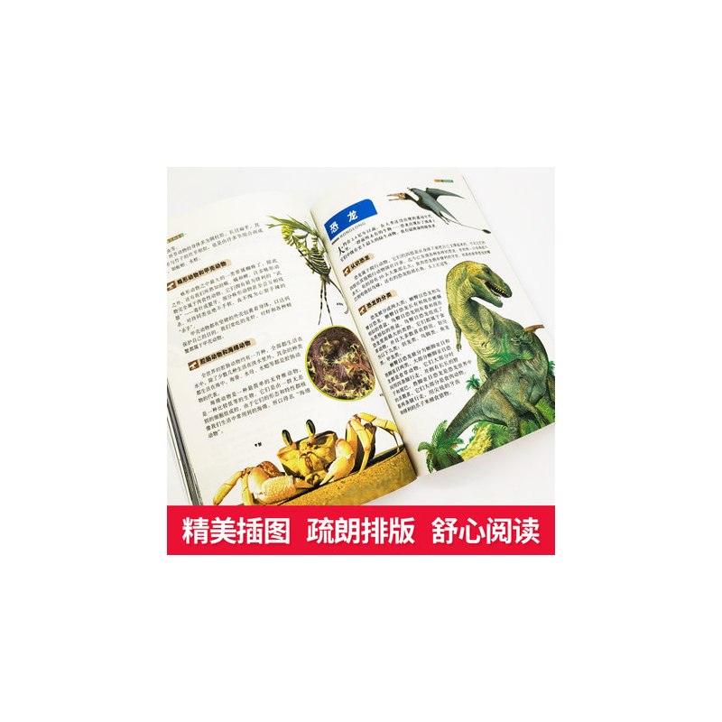 少儿百科全书正版图片,中国大百科全书