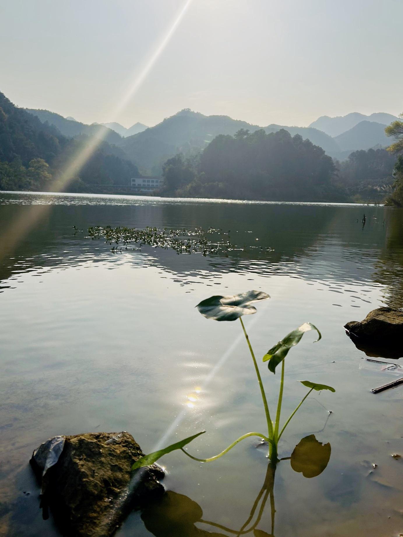 旗山国家森林公园,福州旗山国家森林公园官网