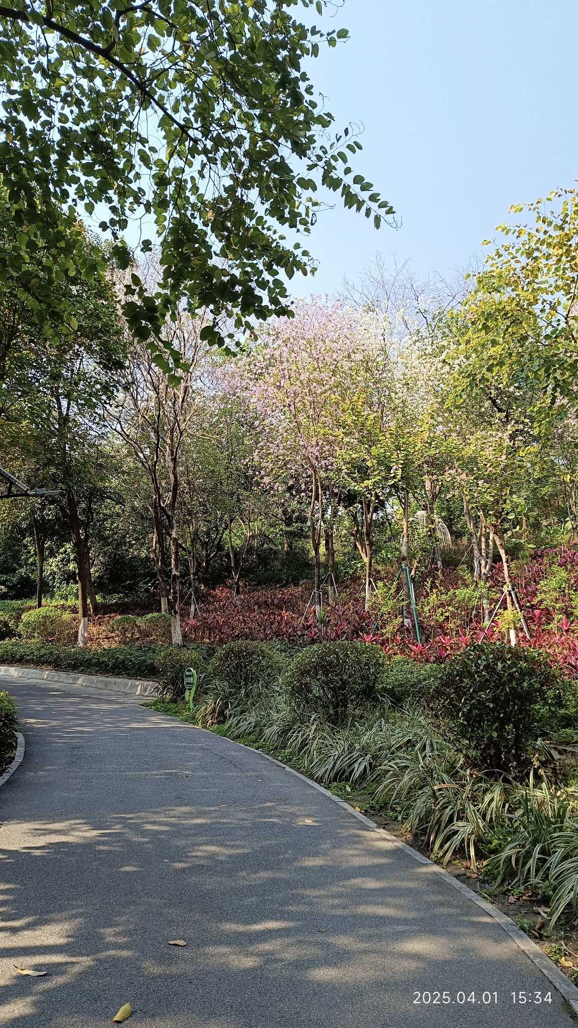 永泰公园,永泰塔山公园介绍