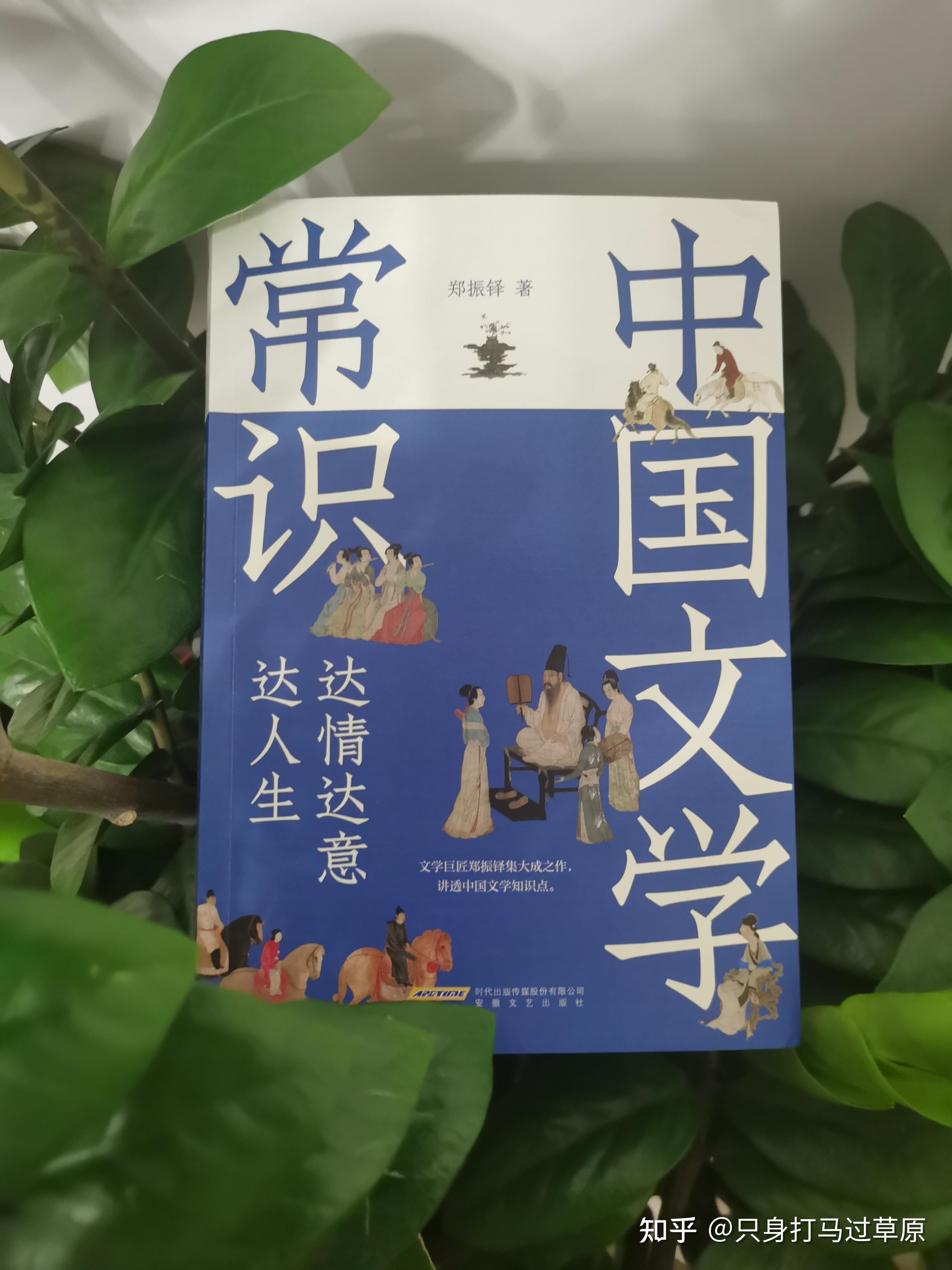 百科全书系统,百科全书系统小说