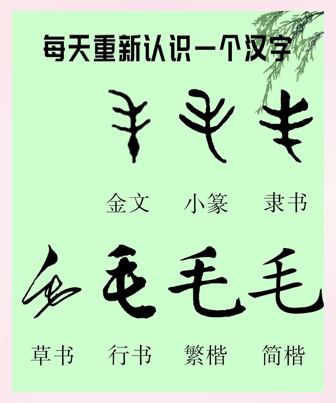 汗毛的拼音,汗毛还是寒毛读音