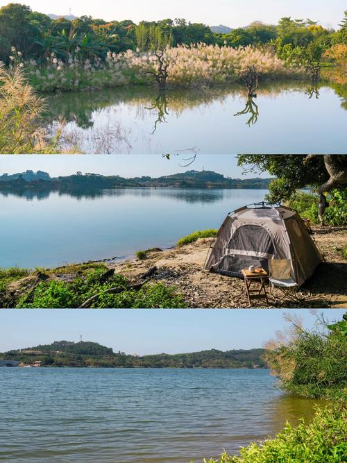 鹤之洲湿地公园,增城鹤之洲湿地公园
