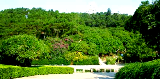厦门狐尾山公园,厦门狐尾山公园在哪里