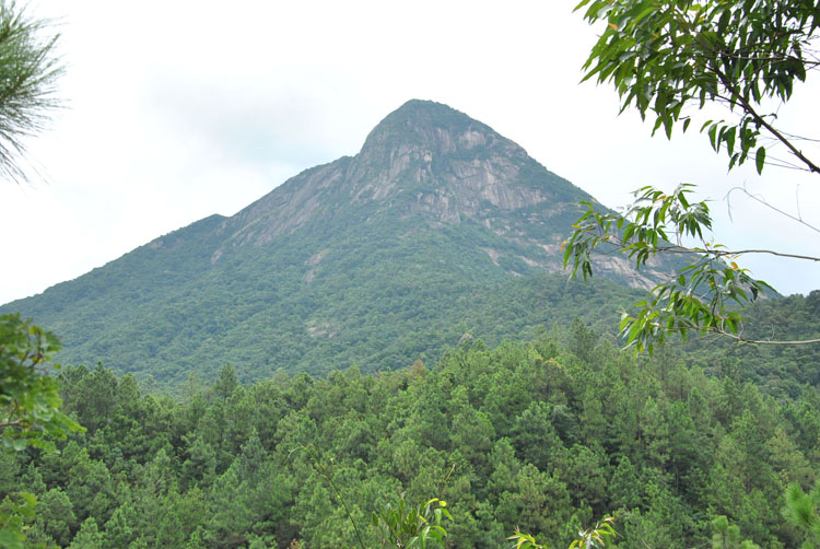 北峰山国家森林公园,北峰山国家森林公园好玩吗
