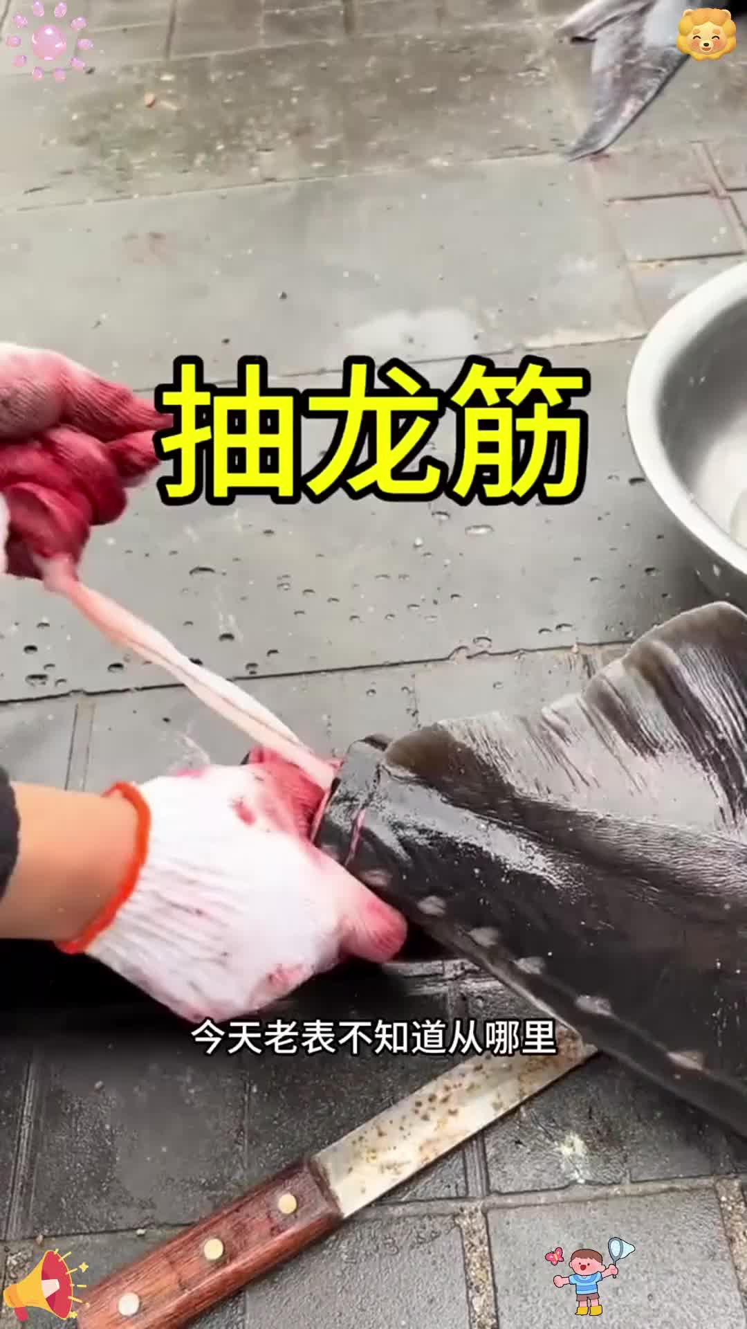 一根筋是什么意思,性格一根筋是什么意思
