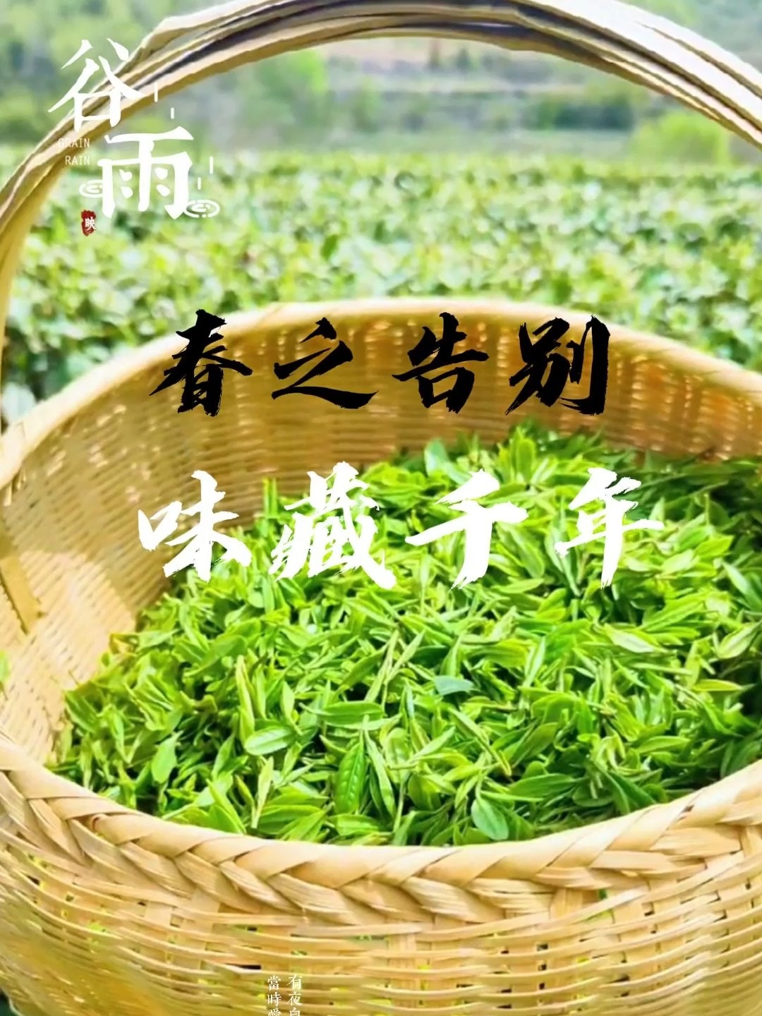 谷雨吃什么传统美食,谷雨时节必吃三种菜