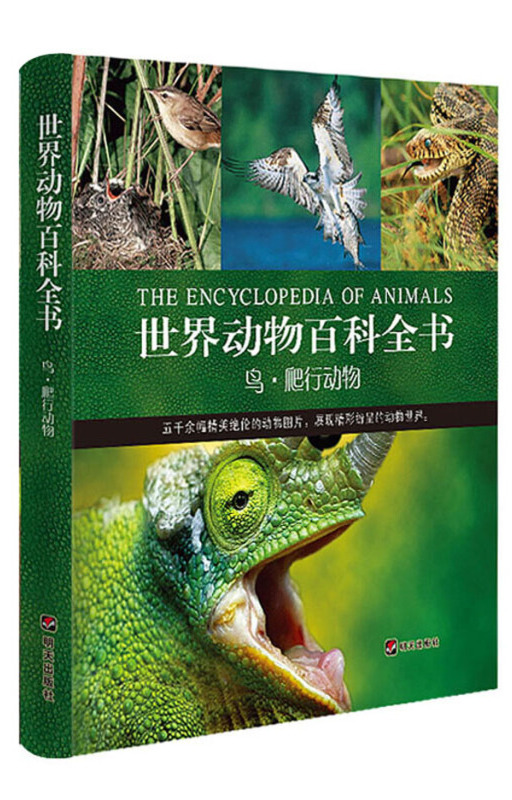 全球世界百科全书,全球最大中文百科全书
