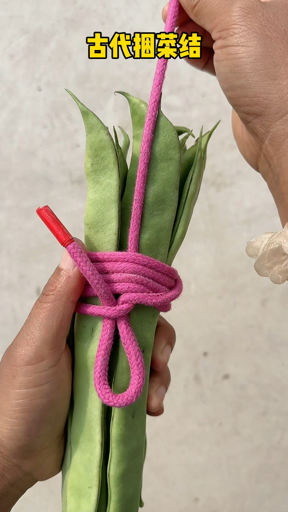 捆组词,捆组词两个字