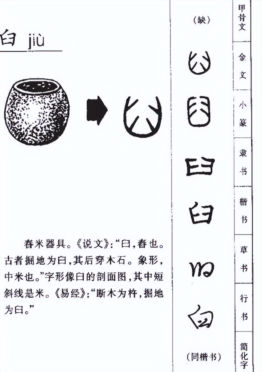 驯服读音,驯有几个读音