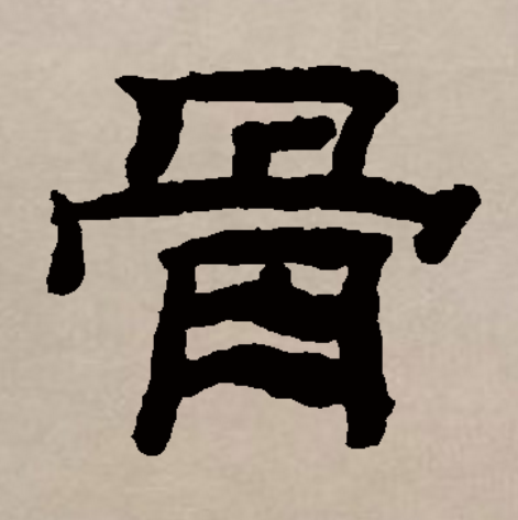 骨头的拼音,骨头的拼音是