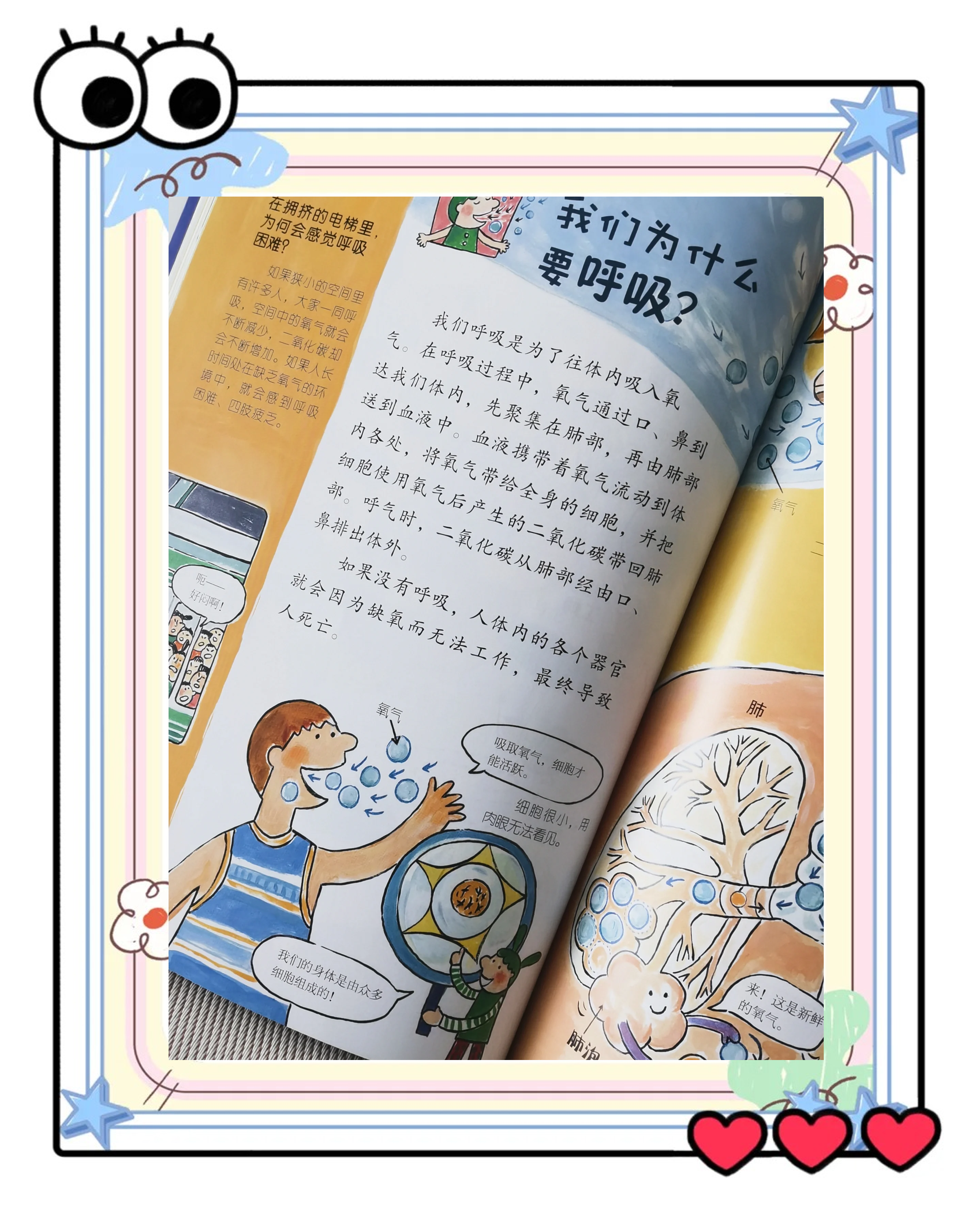百科全书有什么用,百科全书有用吗?