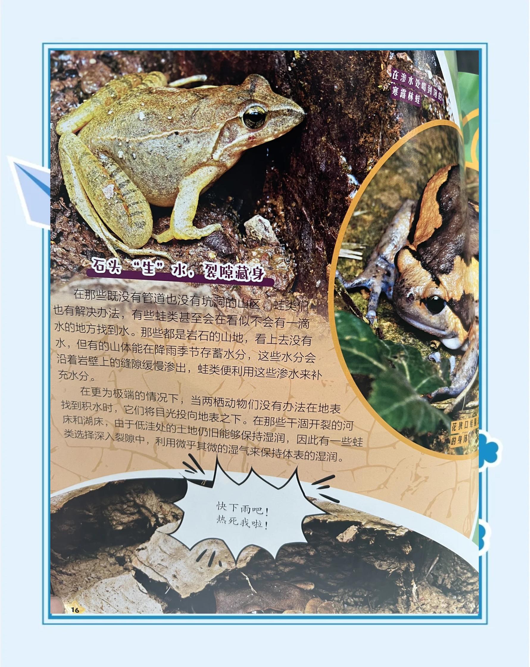 一套青少年科普读物,青少年科普书籍排行榜前十名