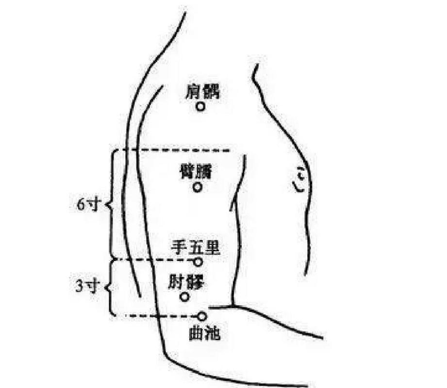 捋臂揎拳是什么意思,揎拳捋袖拼音
