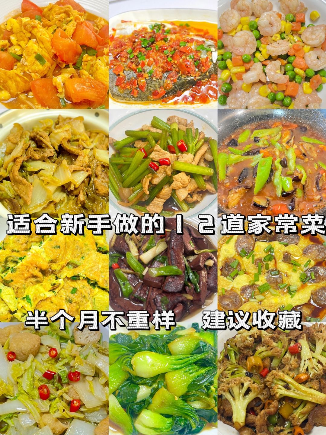 家常菜谱大全简单,新手学做菜500道菜谱