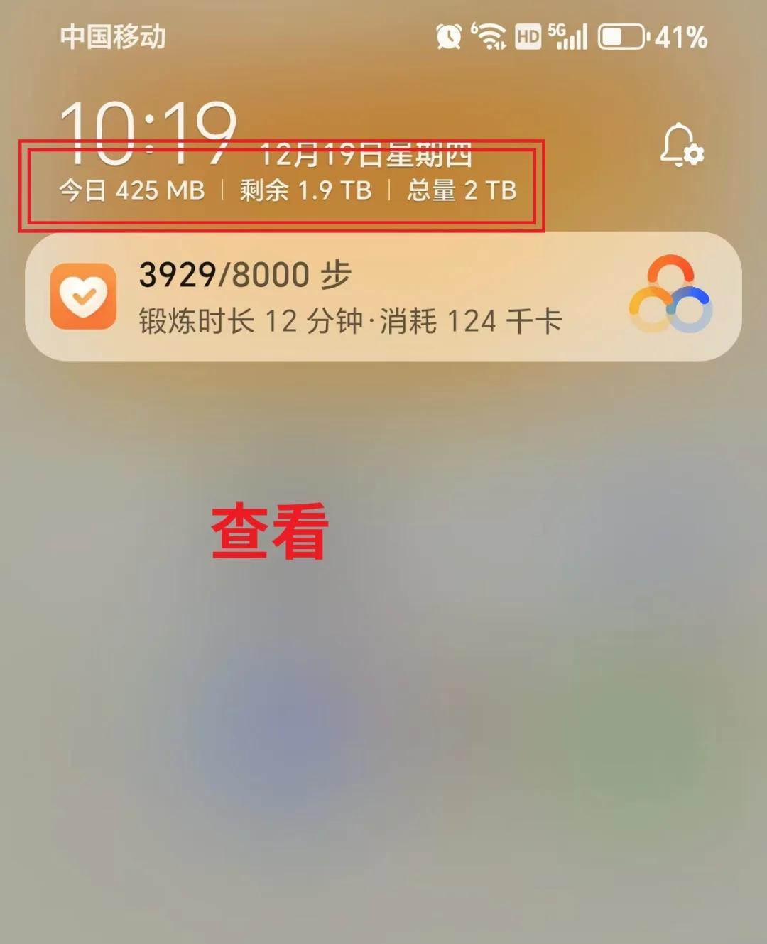 苹果手机流量,苹果手机流量查询