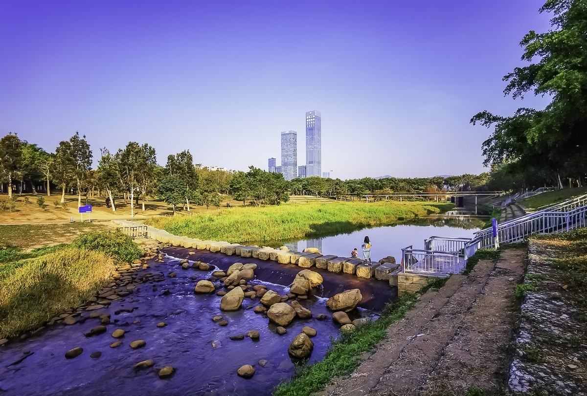 深圳中心公园,深圳中心公园怎么坐地铁