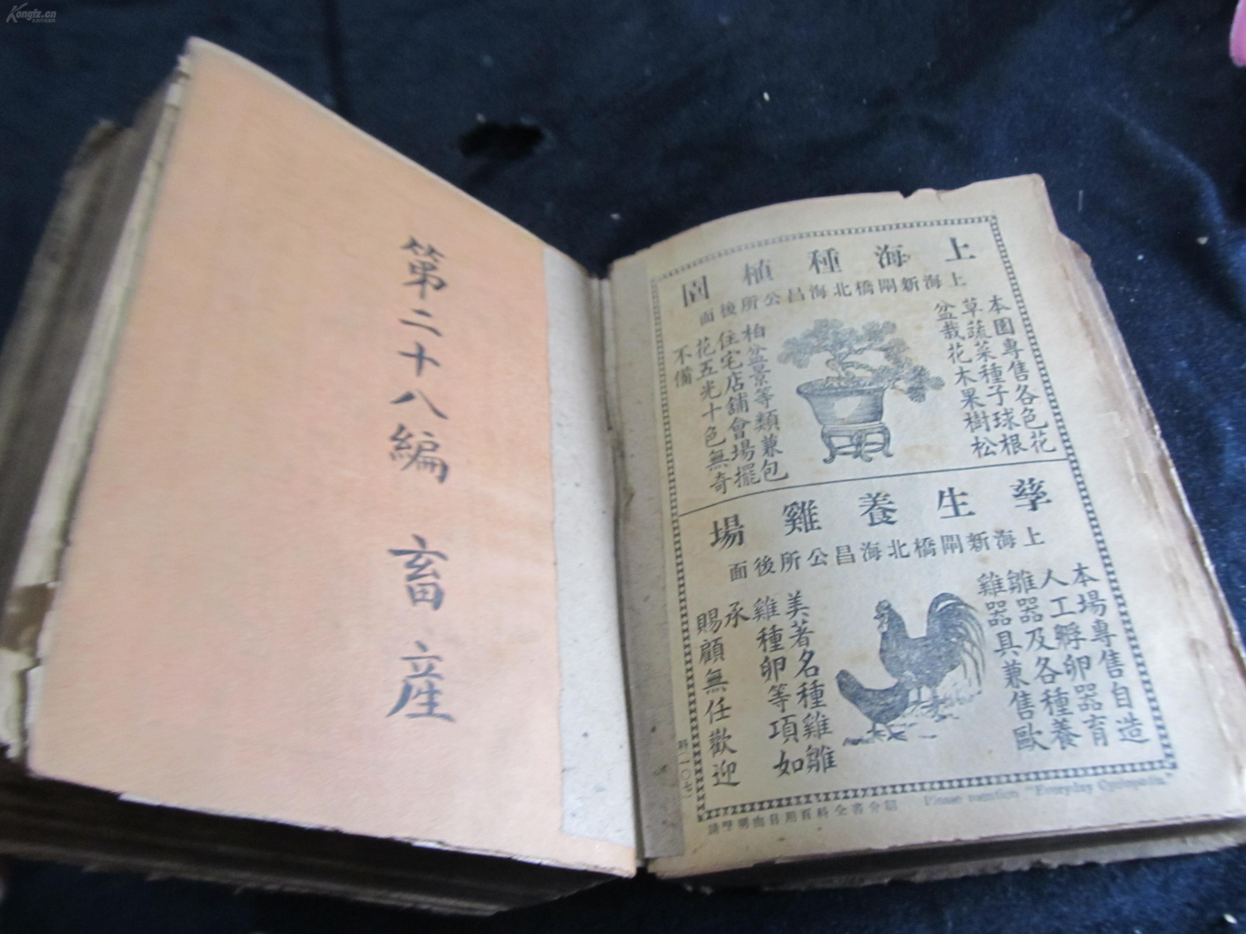 《超短百科全书》,百科全书全文阅读