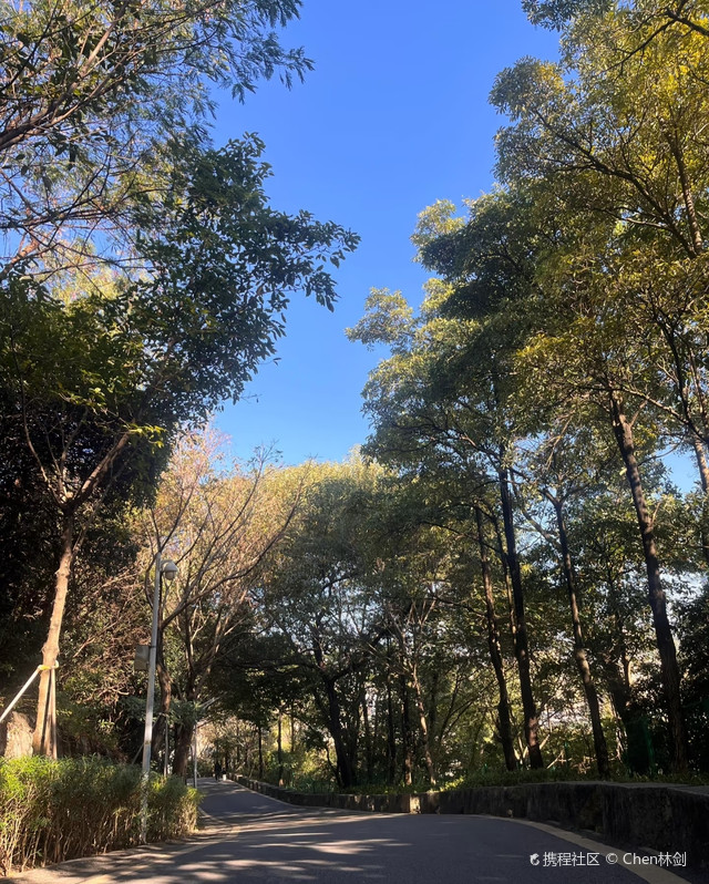 平峦山公园,平峦山公园为什么人少