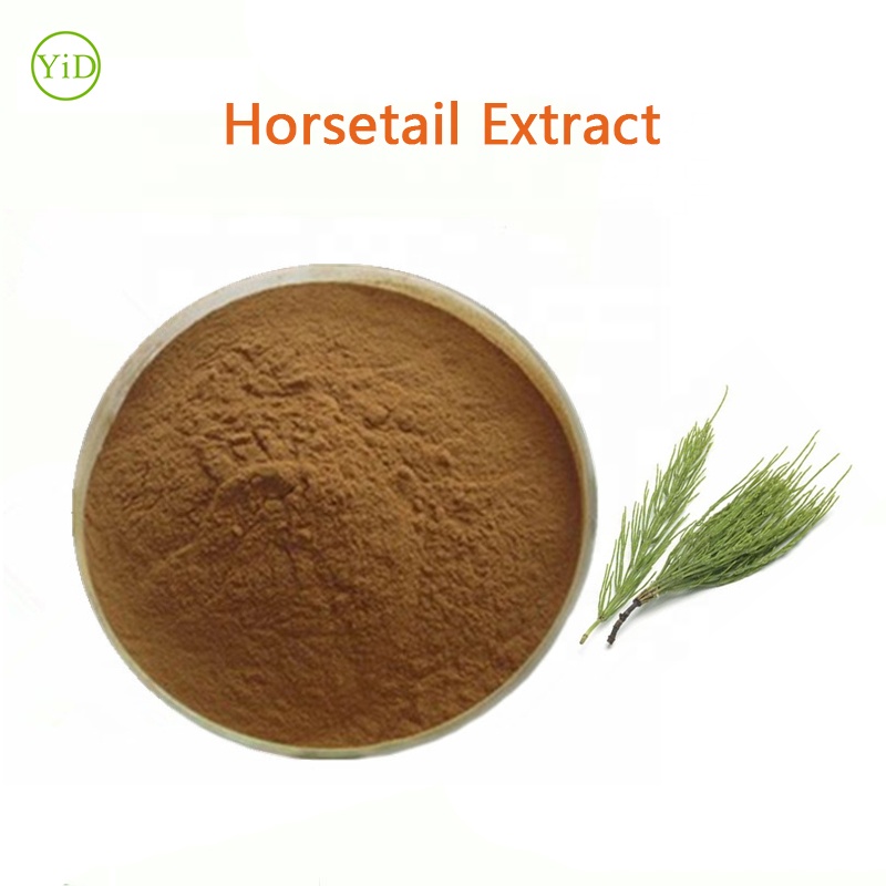 horsetail,horsetail系列泰语