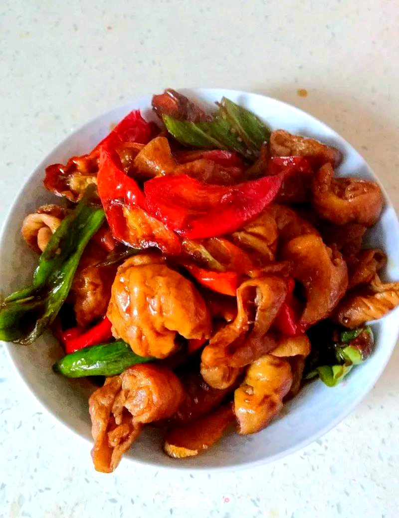 美食天下菜谱下载,美食天下菜谱大全及做法图解