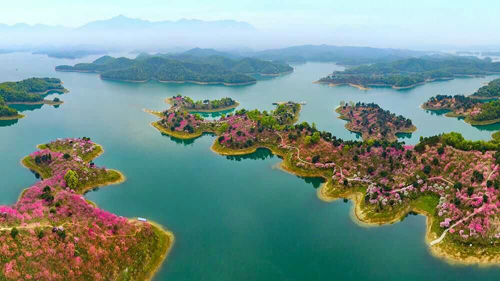 武宁旅游景点大全,江西武宁旅游攻略