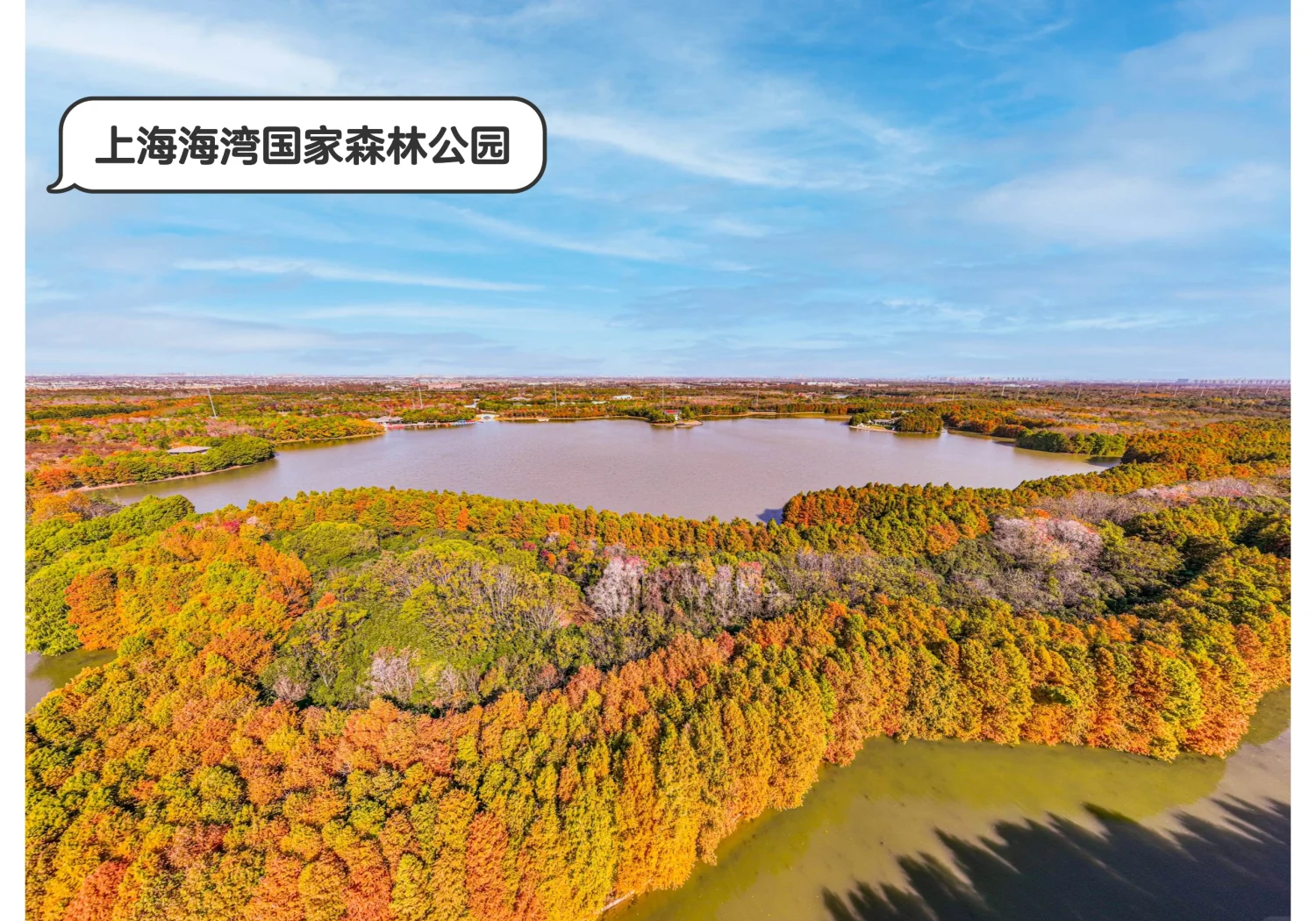 上海海湾国家森林公园攻略,上海海湾国家森林公园 攻略