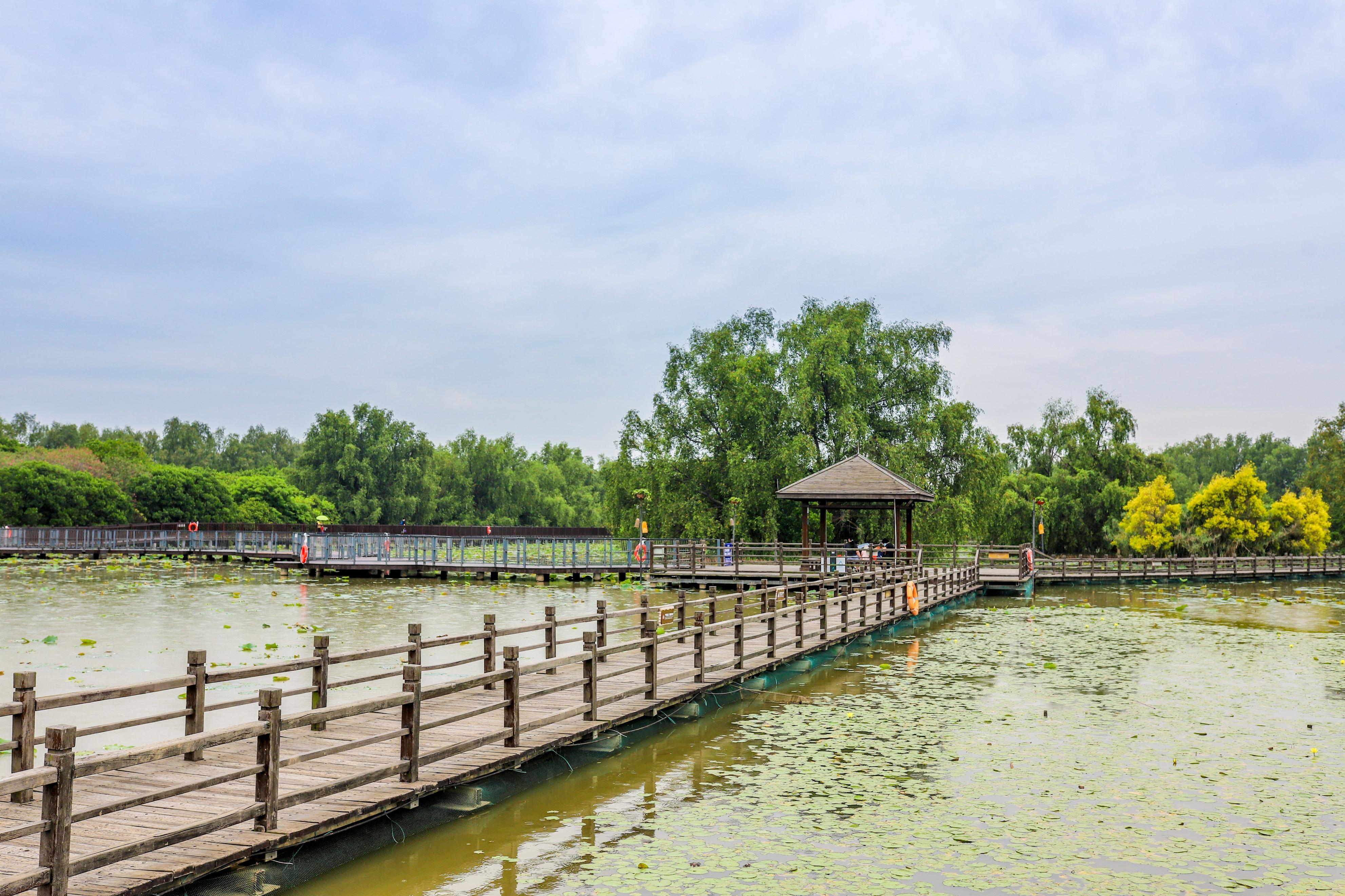 番禺南沙湿地公园,广州南沙区南沙湿地公园
