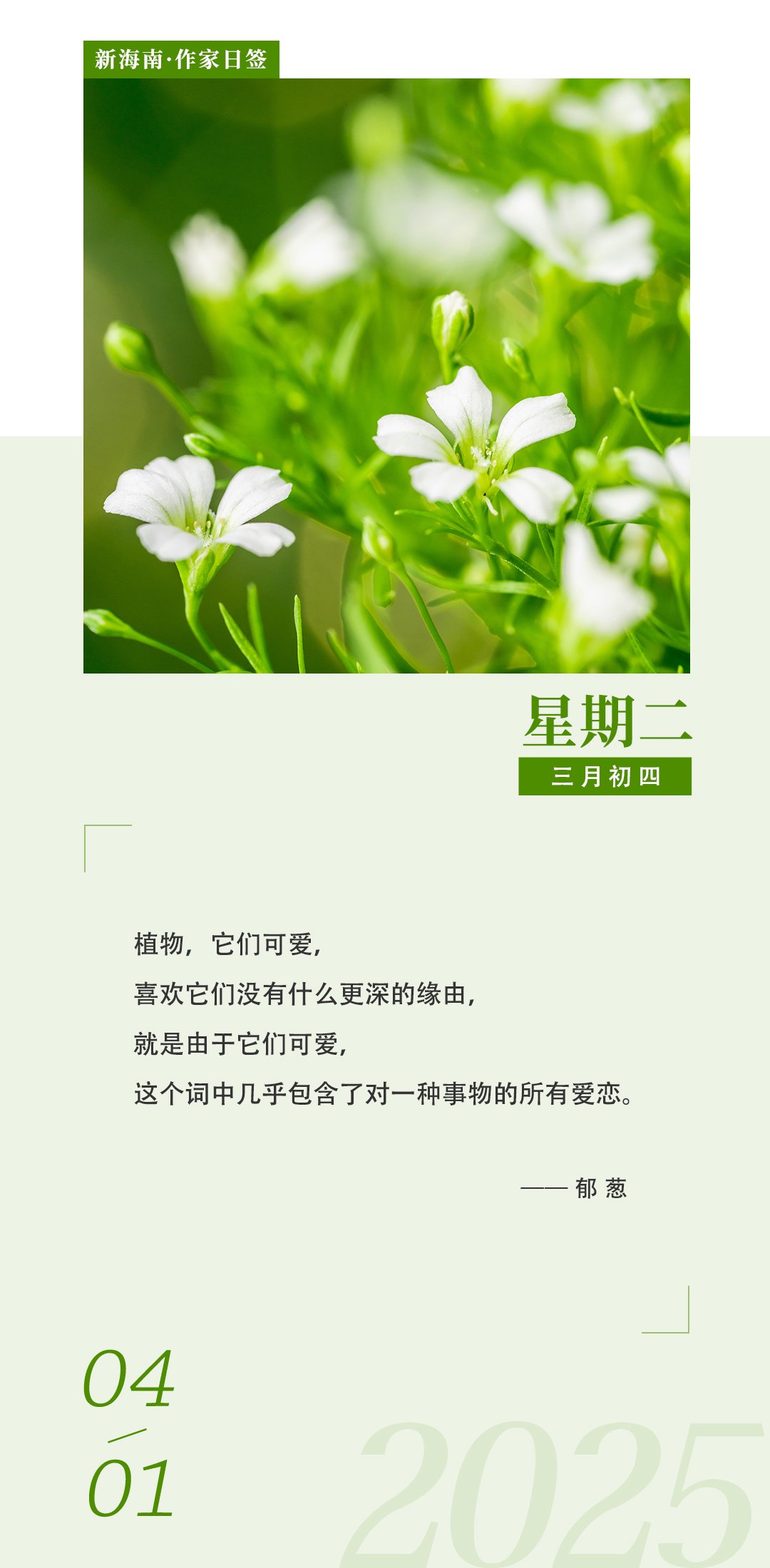 葱葱茏茏的意思,葱葱茏茏啥意思