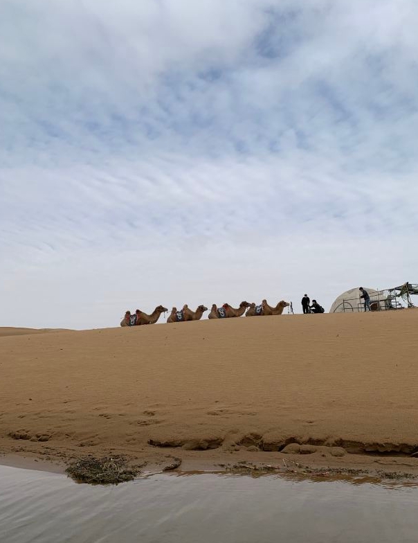 乌海旅游景点大全,乌海市旅游景点大全最全的