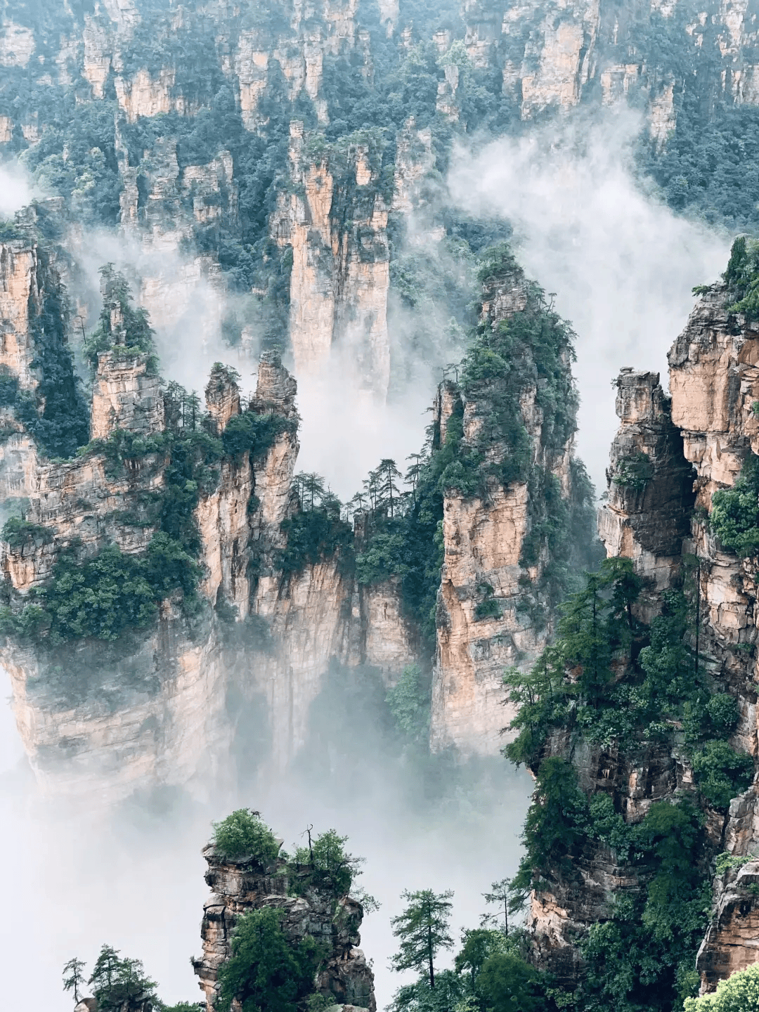 张家界是哪个省份的旅游景点图片大全,张家界24天旅游攻略