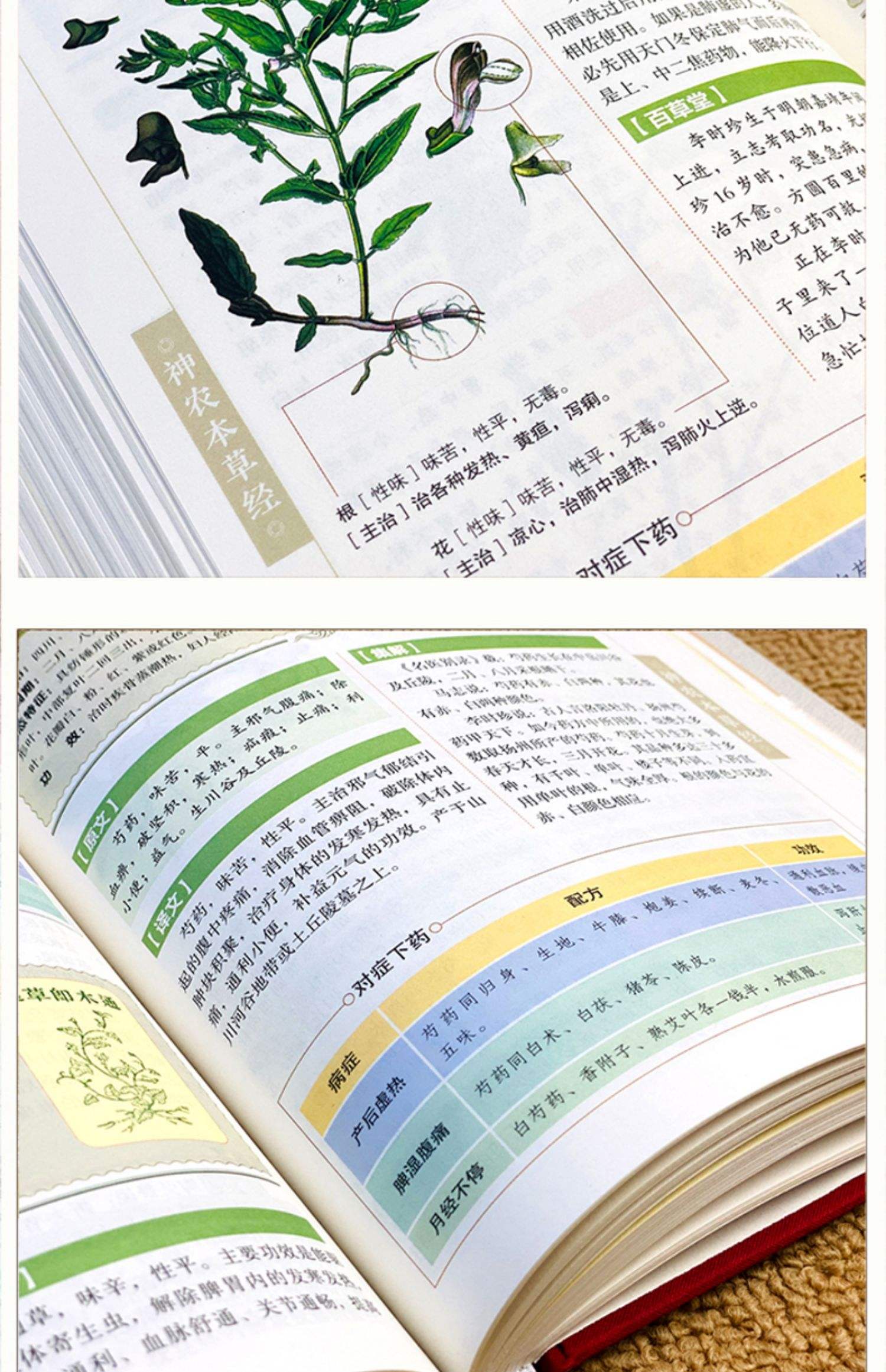 本草纲目为什么是百科全书,本草纲目草药大全书