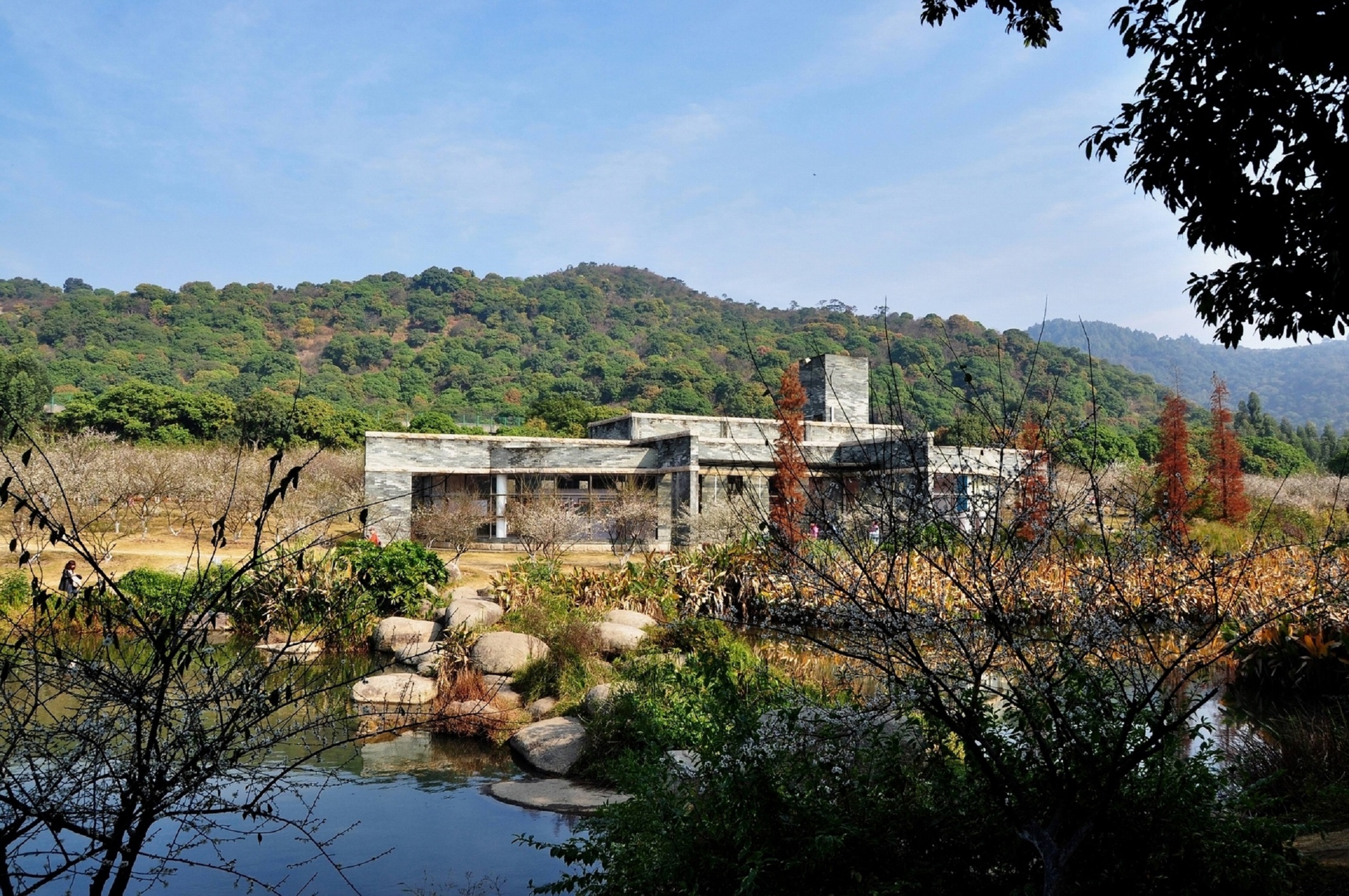 广州萝岗香雪公园,萝岗香雪公园旅游攻略