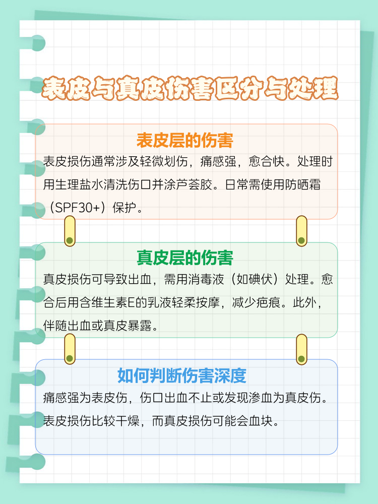物伤其类意思,物伤其类意思和造句