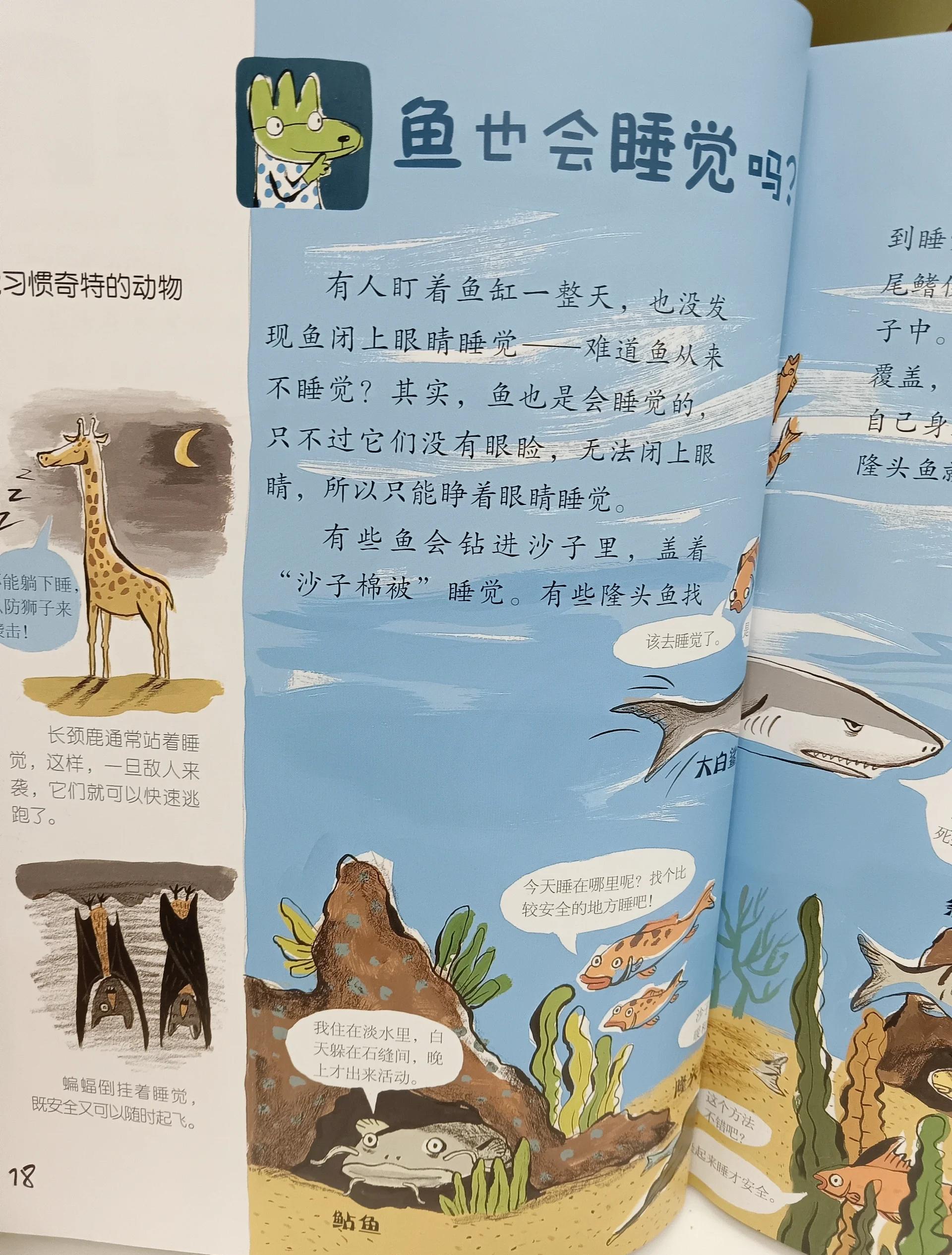 儿童百科问答题大全及答案,测试智商10题
