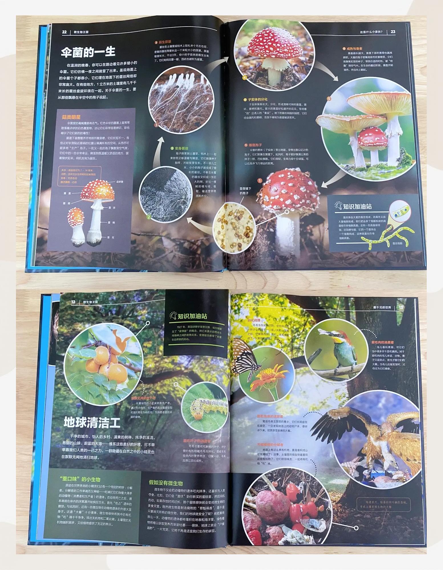 百科全书和旅游手册的区别,百科全书和旅游手册的区别英语
