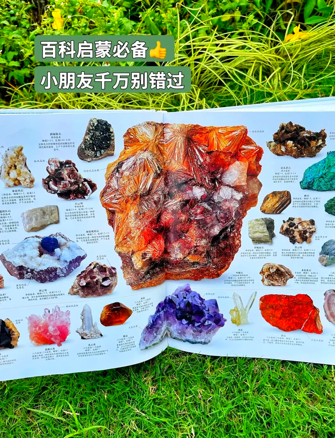 值得你推荐的一些百科全书,推荐一生必看的10本书