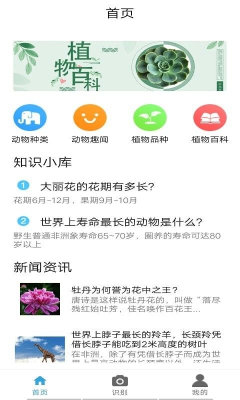 手机宝典,香港宝典免费资料网