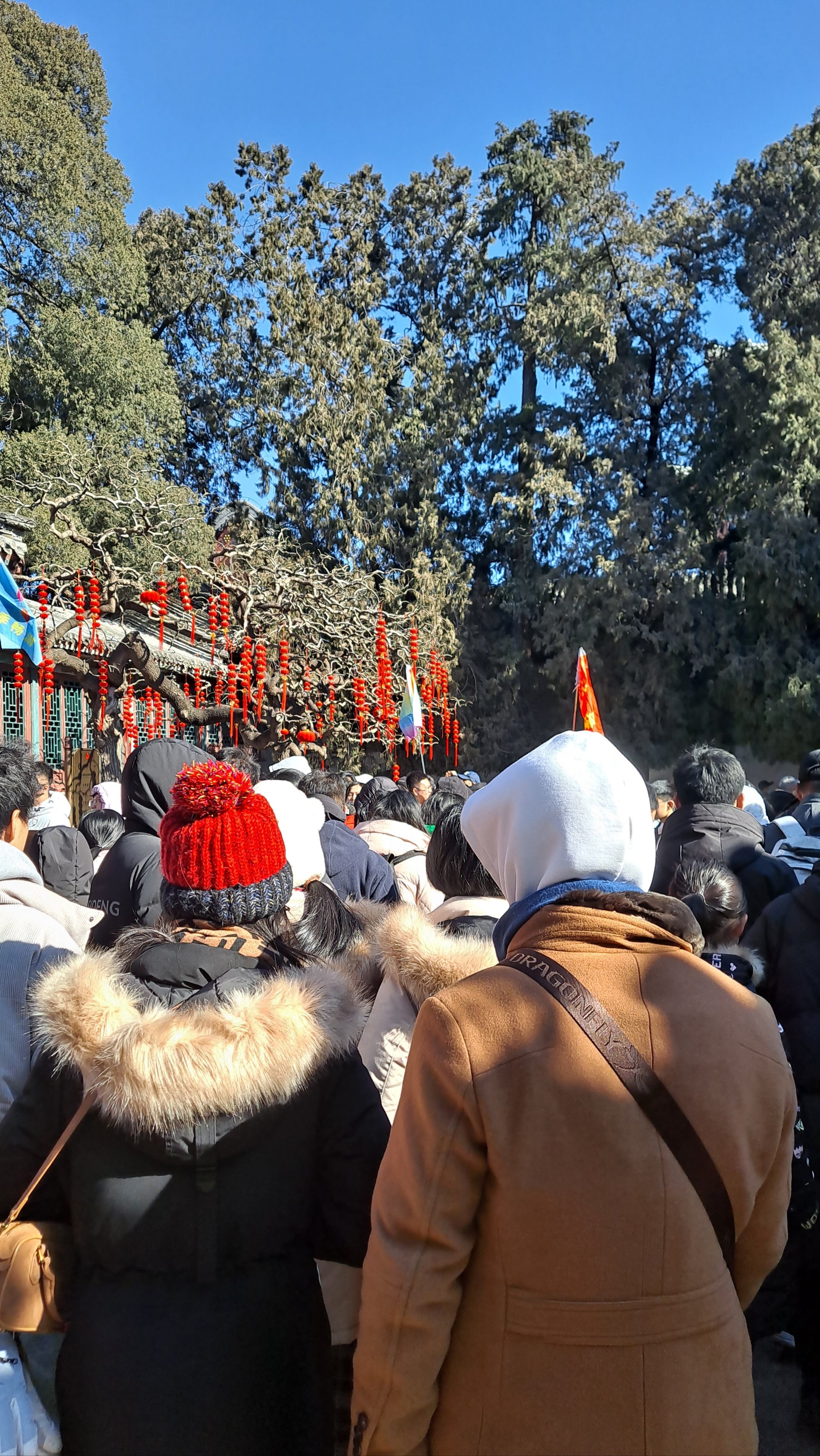 北京旅游景点春节期间开放吗,北京旅游景点春节期间开放吗今天