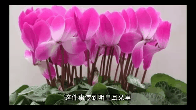 羞花,闭月羞花沉鱼落雁是哪四大美女