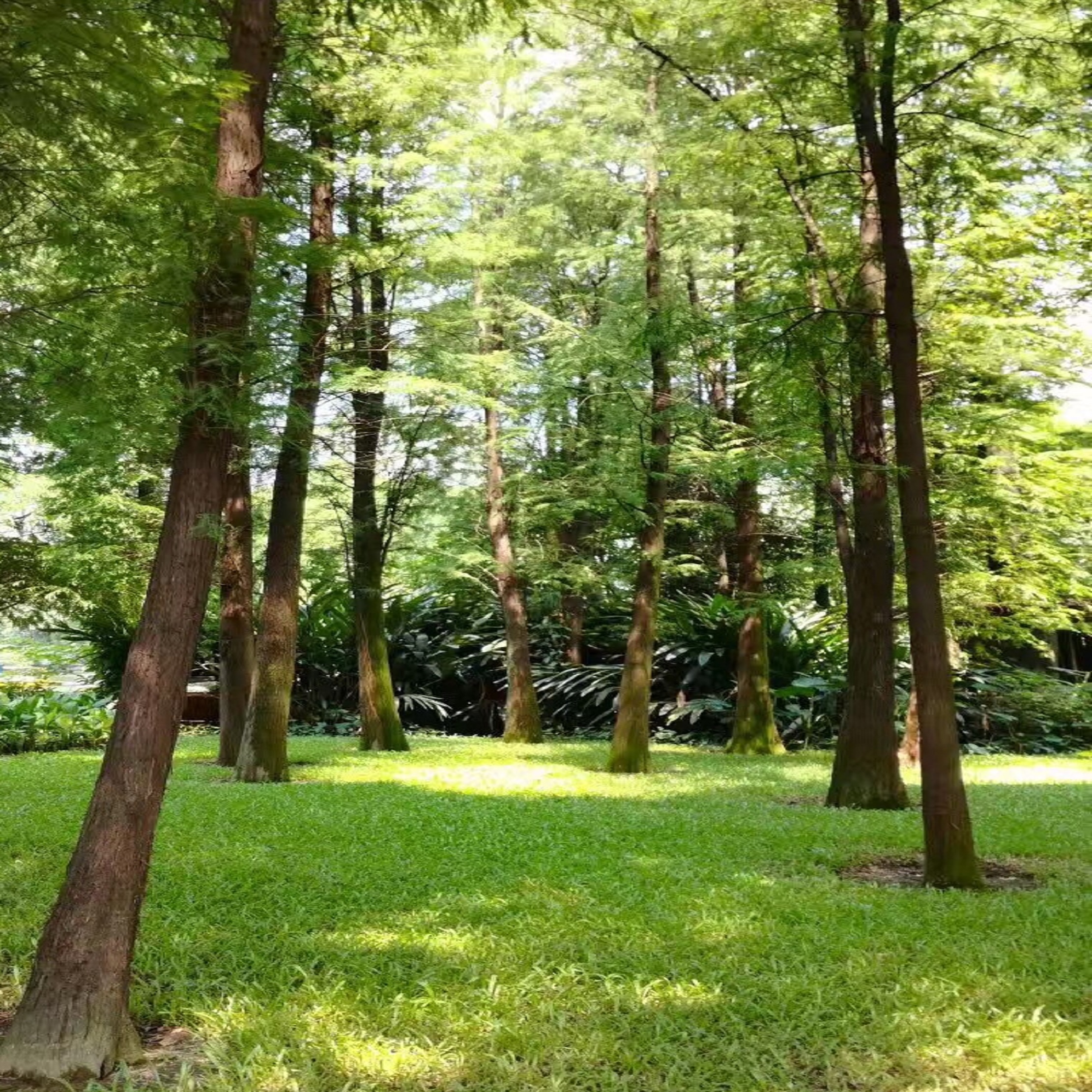 广州晓港公园,晓港公园四大景点