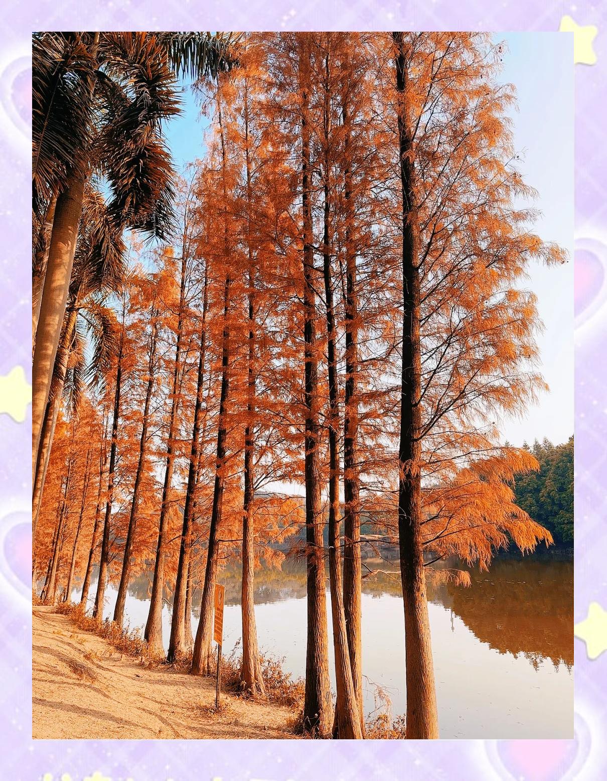 三水森林公园,三水森林公园收费吗