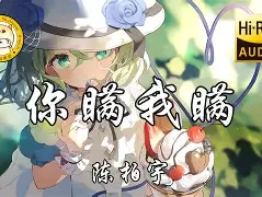 明镜止水,巅峰之拳 瑟提 明镜止水
