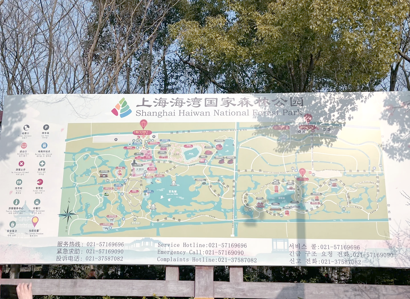 上海海湾国家森林公园好玩吗,老上海风情街游玩攻略